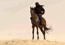 Kisah Perjuangan Qutaibah Bin Muslim Al Bahili (3)