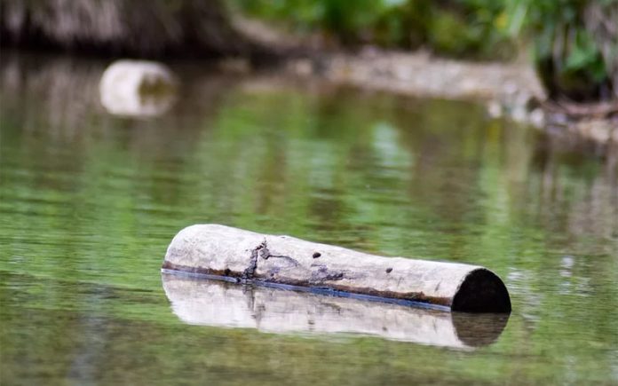 peminjam-yang-amanah