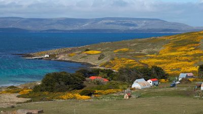 Islam di Kepulauan Falkland