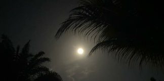 Makna dan keutamaan bulan Syawwal
