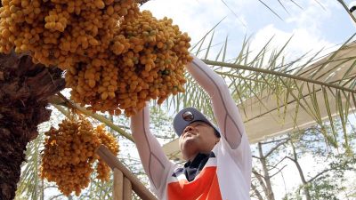 Tips produktif setelah lebaran