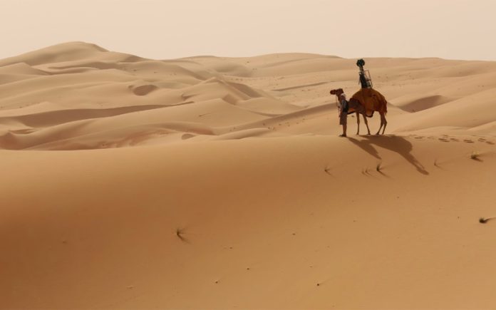unta-padang-pasir Unta di padang pasir