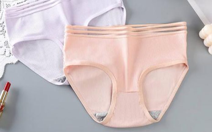 Celana dalam briefs wanita