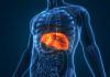 Tips menjaga liver
