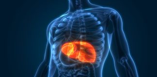 Tips menjaga liver
