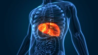 Tips menjaga liver