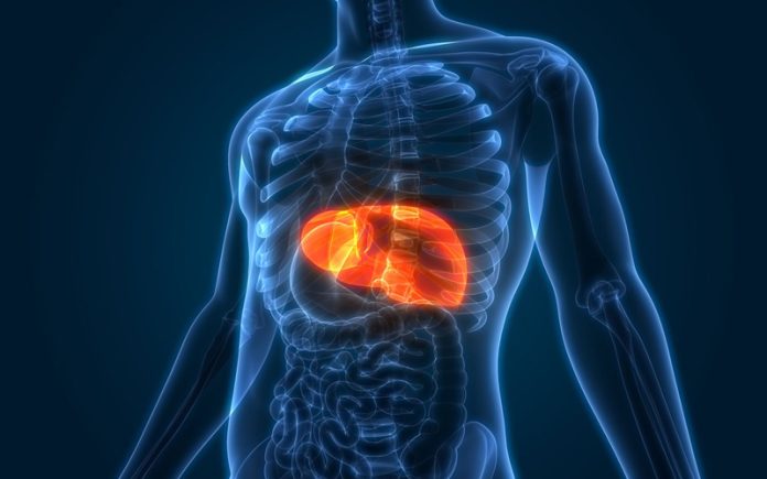 Tips menjaga liver