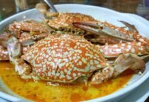 Kare Rajungan Khas Tuban yang Nikmat dan Bikin Ketagihan Kare rajungan khas Tuban