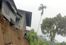 Tips mencegah tanah longsor