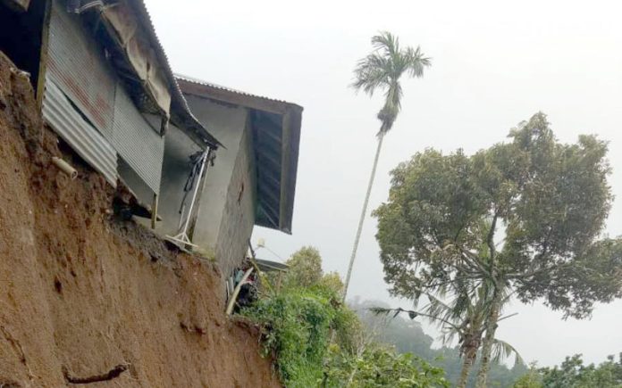 Tips mencegah tanah longsor