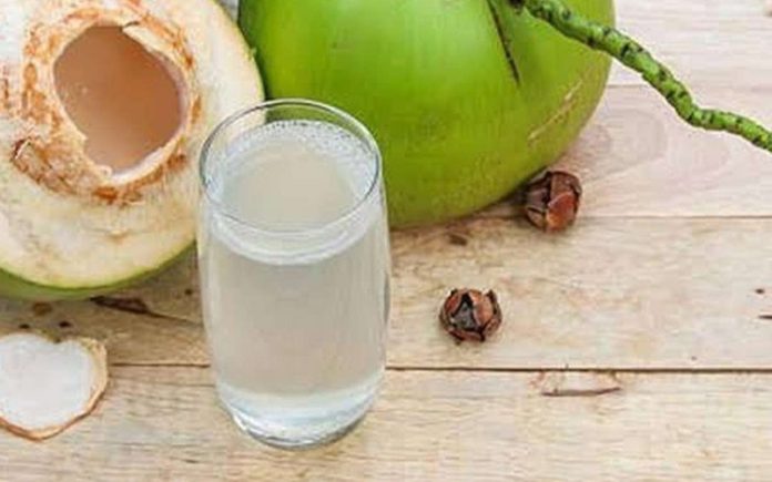 es-kelapa-muda